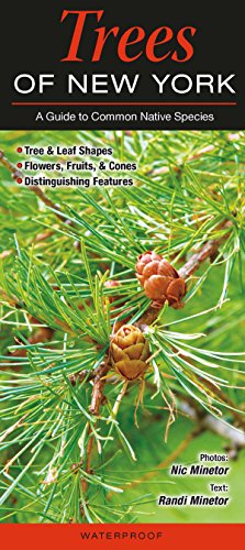 Beispielbild fr Trees of New York: A Guide to Common Native Species zum Verkauf von BooksRun