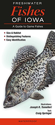 Stock image for Freshwater Fishes of Iowa: A Guide to Game Fishes for sale by GF Books, Inc.