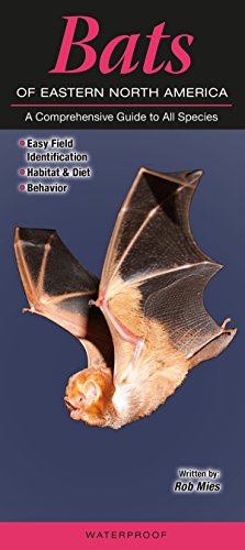 Stock image for Bats of Eastern North America: A Comprehensive Guide to All Species for sale by SecondSale