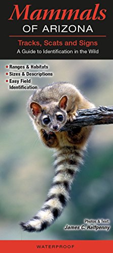 Stock image for Mammals of Arizona Tracks, Scats and Signs A Guide to Identification in the Wild for sale by Blue Vase Books