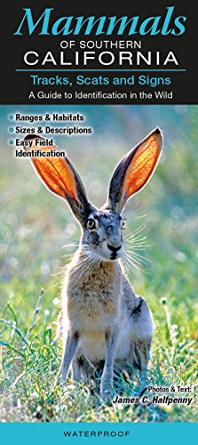 Stock image for Mammals of Southern California: Tracks, Scats and Signs A Guide to Identification in the Wild for sale by SecondSale