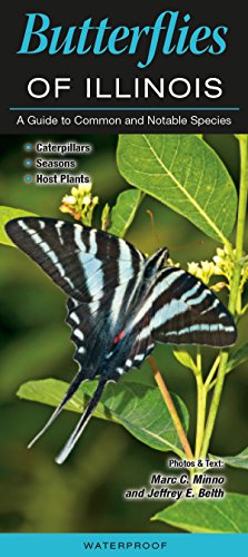9781943334865: Butterflies of Illinois: A Guide to Common and Notable Species