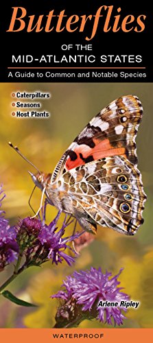 Beispielbild fr Butterflies of the Mid - Atlantic : A Guide to Common and Notable Species zum Verkauf von Better World Books