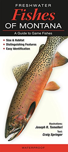 Stock image for Freshwater Fishes of Montana for sale by GF Books, Inc.