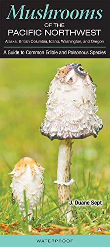 Stock image for Mushrooms of the Pacific Northwest AK, BC, ID, WA, OR: A Guide to Common Edible and Poisonous Species for sale by zenosbooks