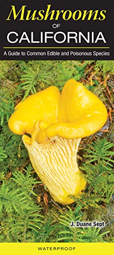 Stock image for Mushrooms of California: A Guide to Common Edible and Poisonous Species for sale by zenosbooks