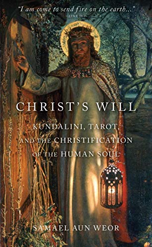 Beispielbild fr Christ's Will: Tarot, Kundalini, and the Christification of the Human Soul zum Verkauf von Books From California