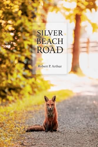 Stock image for Silver Beach Road for sale by Half Price Books Inc.