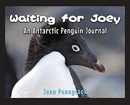 Beispielbild fr Waiting for Joey : An Antarctic Penguin Journal zum Verkauf von Better World Books