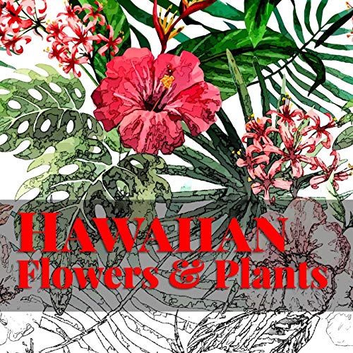 Beispielbild fr Hawaiian Flowers & Plants: Relaxing Coloring Therapy for Adults (Island Color) zum Verkauf von Save With Sam