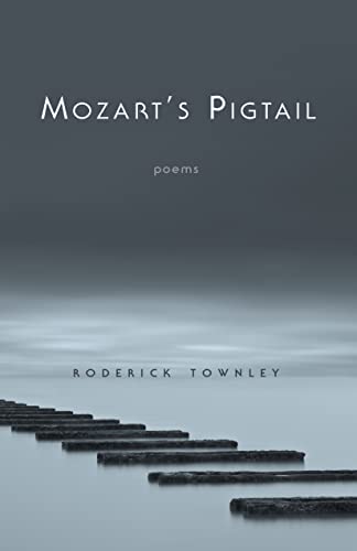 Beispielbild fr Mozart's Pigtail zum Verkauf von SecondSale