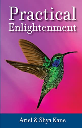 Stock image for Practical Enlightenment for sale by ThriftBooks-Dallas