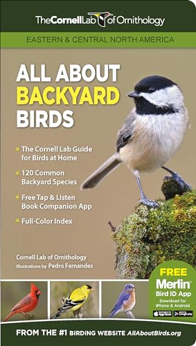 9781943645046: All About Backyard Birds- Eastern & Central North America (Cornell Lab of Ornithology)