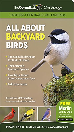 Stock image for All About Backyard Birds (Eastern & Central North America) Format: Paperback for sale by INDOO