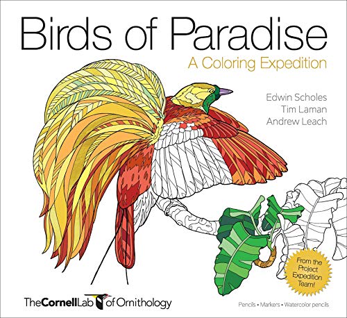 9781943645381: Birds of Paradise – A Coloring Expedition (Cornell Lab of Ornithology)