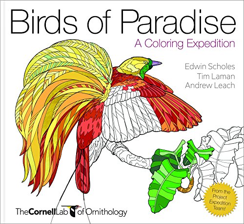 Stock image for BIRDS OF PARADISE (TP)?? Cornell Lab Publishing (Cornell Lab of Ornithology) for sale by SecondSale