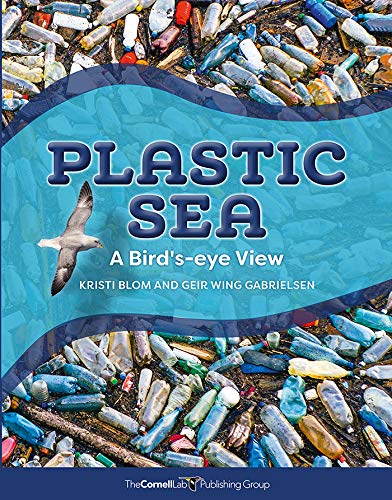 Stock image for Plastic Sea: A Bird's-Eye View for sale by SecondSale