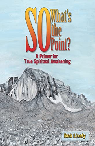 Stock image for So What's The Point?: A Primer for True Spiritual Awakening for sale by HPB-Ruby