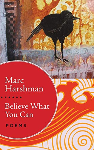 9781943665228: Believe What You Can: Poems