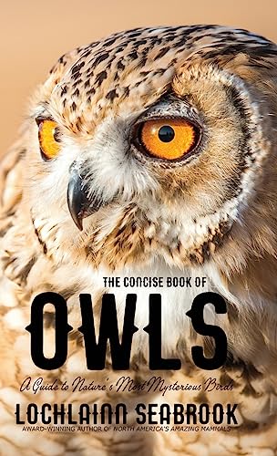 Stock image for The Concise Book of Owls: A Guide to Nature's Most Mysterious Birds for sale by Books From California