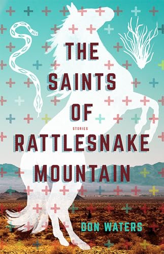 Stock image for The Saints of Rattlesnake Mountain : Stories for sale by Better World Books