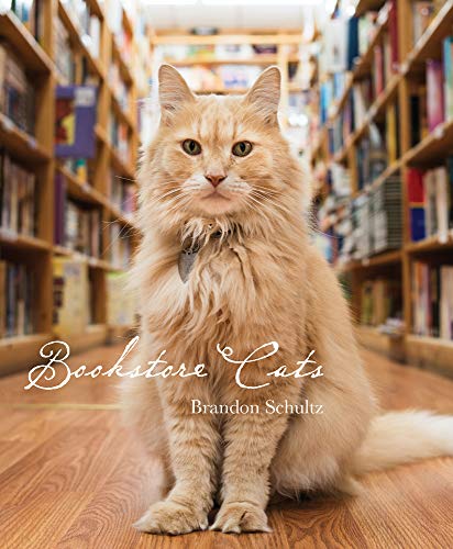 Beispielbild fr Bookstore Cats zum Verkauf von Better World Books