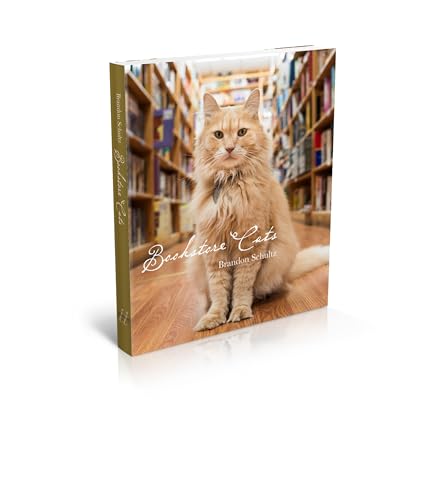 Stock image for Bookstore Cats for sale by -OnTimeBooks-