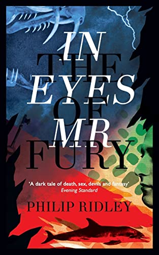 9781943910373: In the Eyes of Mr Fury