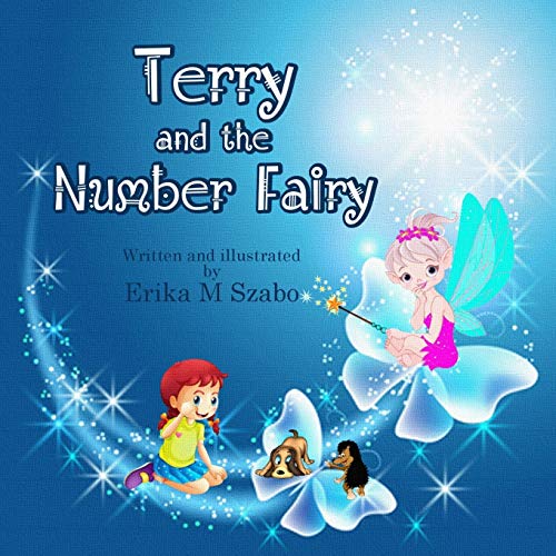 Imagen de archivo de Terry And The Number Fairy a la venta por PBShop.store US