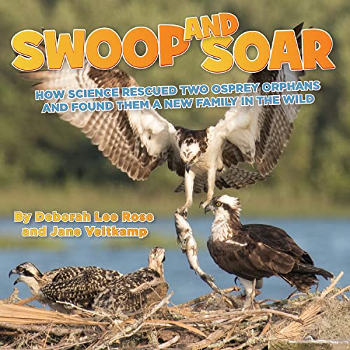 Imagen de archivo de Swoop and Soar: How Science Rescued Two Osprey Orphans and Found Them A New Family In The Wild a la venta por Red's Corner LLC