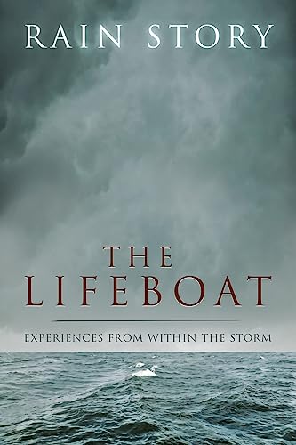 Beispielbild fr The Lifeboat: Experiences from within the storm zum Verkauf von Lucky's Textbooks