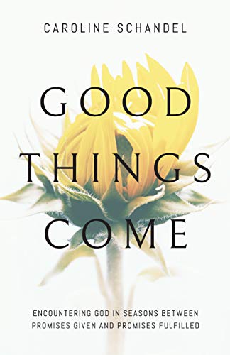 Stock image for Good Things Come: Encountering God in Seasons Between Promises Given and Promises Fulfilled for sale by Goodwill Southern California
