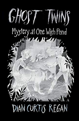 Beispielbild fr Ghost Twins: Mystery of One Wish Pond zum Verkauf von ThriftBooks-Dallas