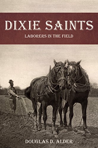 Imagen de archivo de Dixie Saints: Laborers in the Field a la venta por -OnTimeBooks-