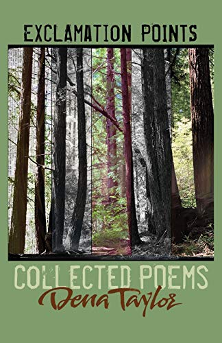 Stock image for Exclamation Points: Collected Poems for sale by SecondSale