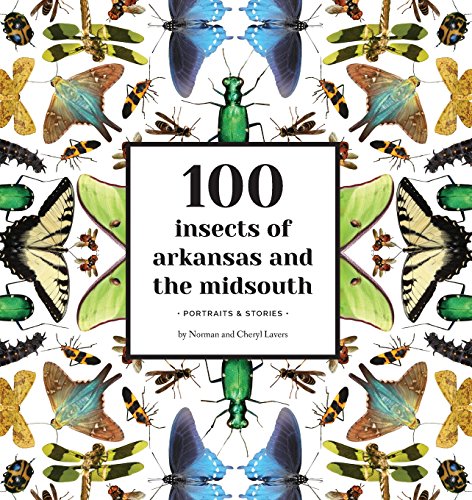 Stock image for 100 Insects of Arkansas and the Midsouth: Portraits Stories for sale by Friends of  Pima County Public Library