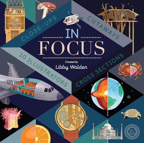 Imagen de archivo de In Focus a la venta por Better World Books