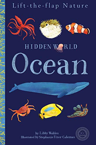 Imagen de archivo de Hidden World: Ocean a la venta por ThriftBooks-Dallas