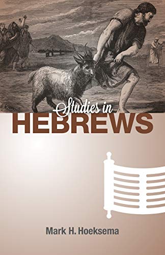 Stock image for Studies in Hebrews for sale by ThriftBooks-Atlanta