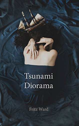 Beispielbild fr Tsunami Diorama zum Verkauf von Better World Books