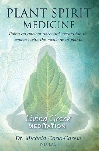 Beispielbild fr Plant Spirit Medicine: Using An Ancient Ancestral Meditation To Connect With The Medicine Of Plants (Living Grace Meditation) zum Verkauf von Goodwill Books