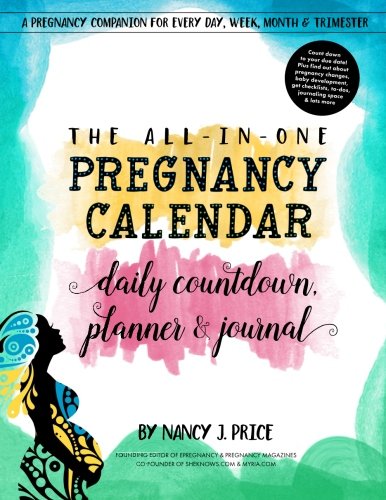 Stock image for The All-In-One Pregnancy Calendar, Daily Countdown, Planner and Journal for sale by SecondSale