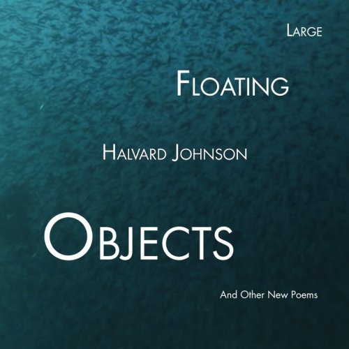 Imagen de archivo de Large Floating Objects a la venta por Revaluation Books