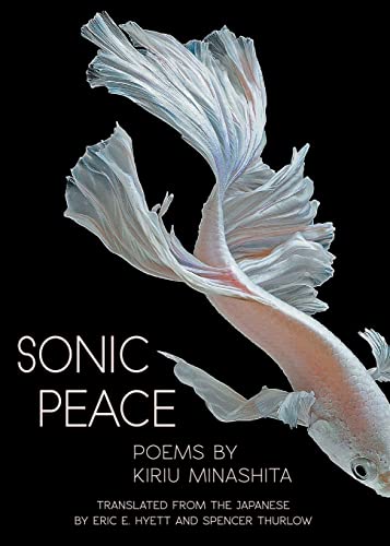 Beispielbild fr Sonic Peace zum Verkauf von HPB-Movies