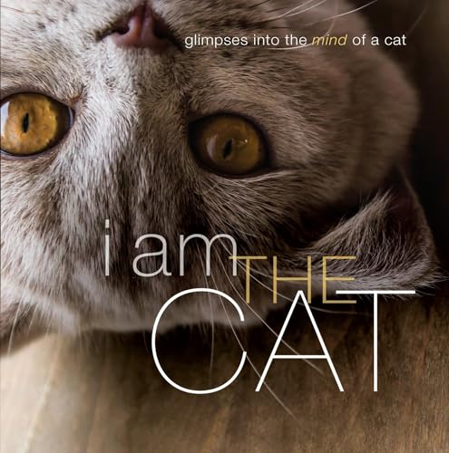 Beispielbild fr I Am the Cat : Glimpses into the Mind of a Cat zum Verkauf von Better World Books