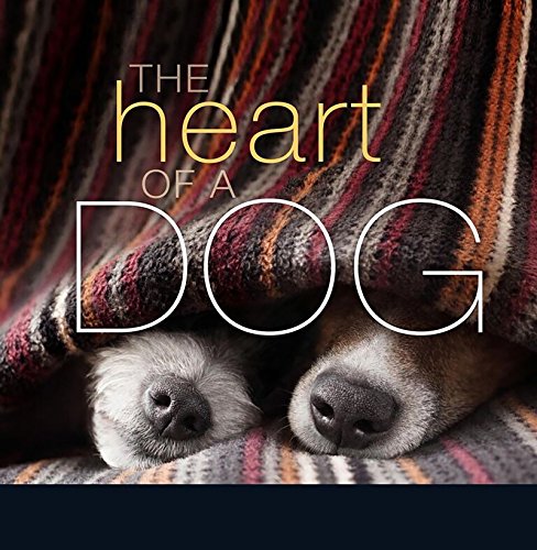 Beispielbild fr The Heart of a Dog zum Verkauf von SecondSale