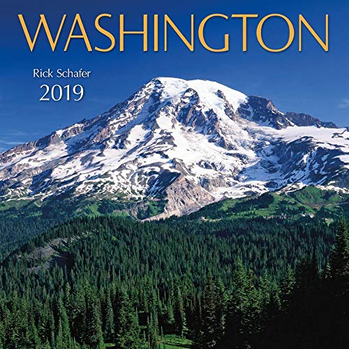 Stock image for 2019 Washington Wall Calendar for sale by Ergodebooks