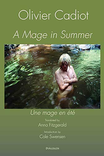 Imagen de archivo de A Mage in Summer a la venta por Revaluation Books