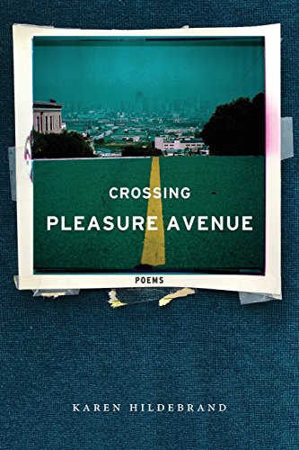 Stock image for Crossing Pleasure Avenue for sale by ThriftBooks-Atlanta