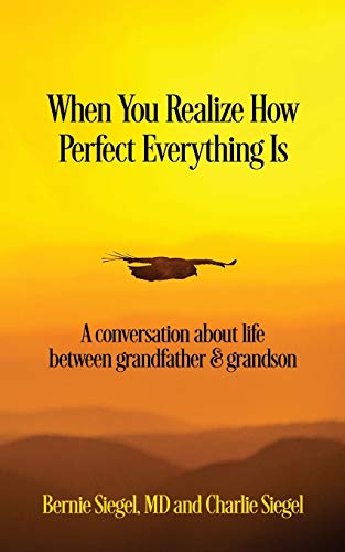 Beispielbild fr When You Realize How Perfect Everything Is: A Conversation About Life Between Grandfather and Grandson zum Verkauf von BooksRun
